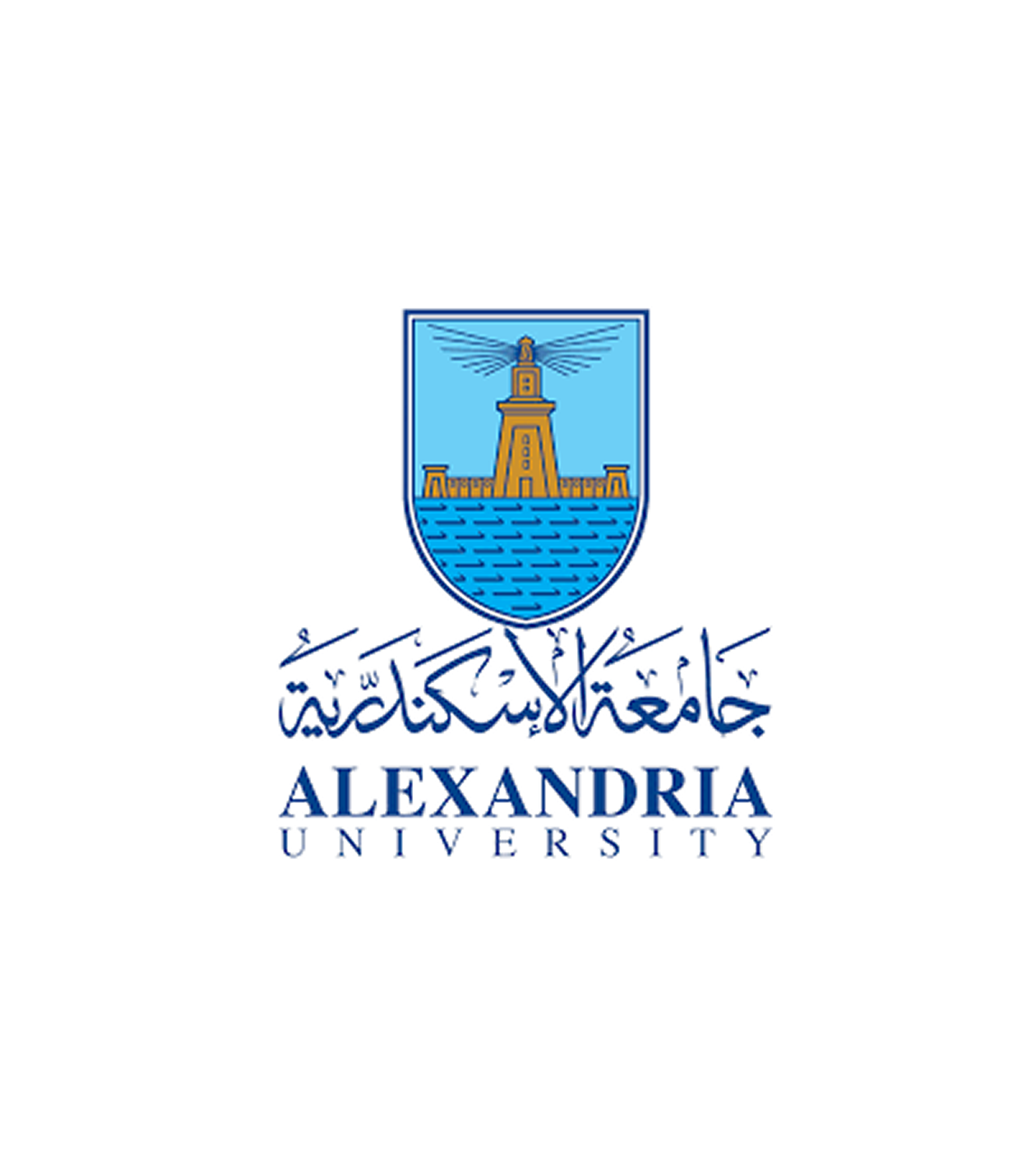 Alexandria University Training